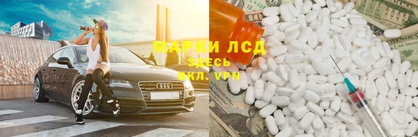 спиды Алзамай